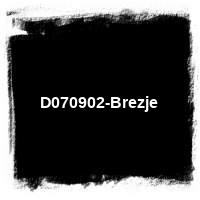 2007 &#8226; D070902-Brezje